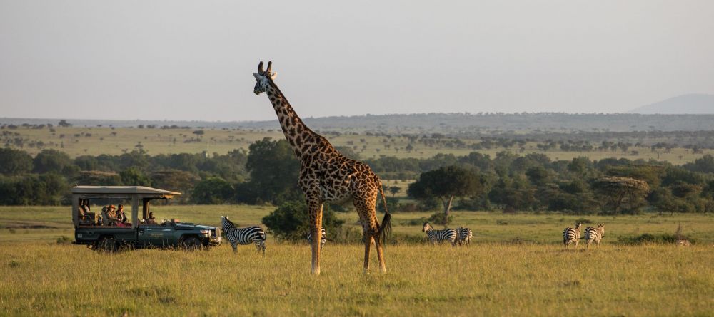 Mara Plains Camp, Masai Mara National Reserve, Kenya - Image 11