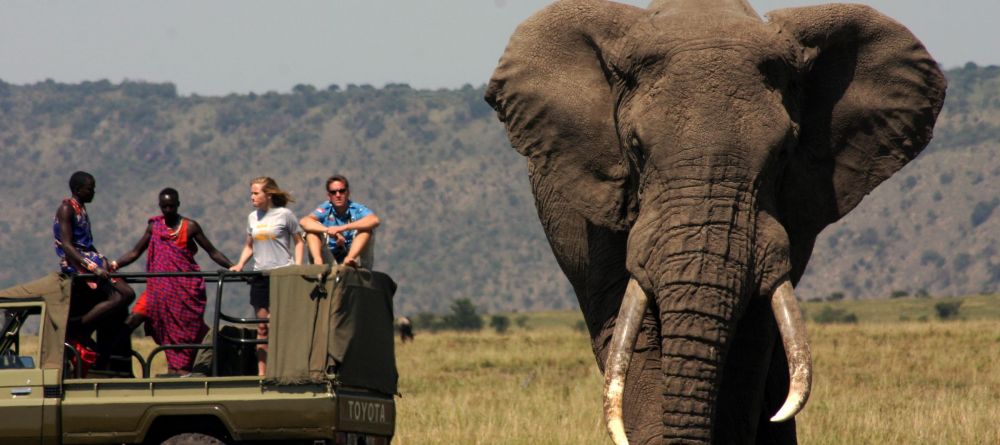 Elephant bull spotted on a game drive at Ngare Serian Camp, Masai Mara National Reserve, Kenya - Image 17