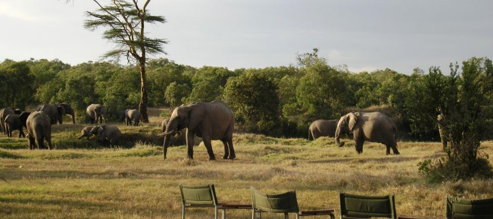 Elephants at sundowners- Ol Pejeta Bush Camp, Ol Pejeta Reserve, Kenya - Image 6