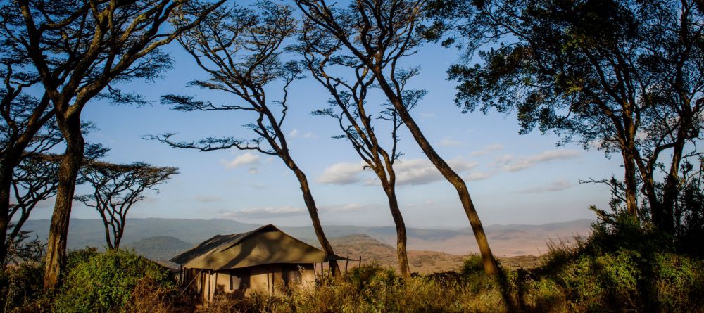 Entamanu Ngorongoro  - Image 5