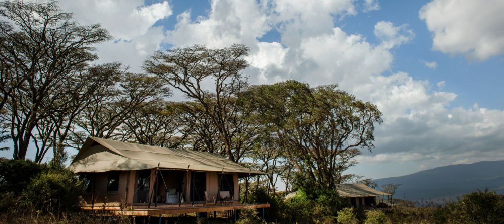 Entamanu Ngorongoro  - Image 6