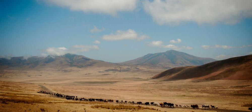 Entamanu Ngorongoro  - Image 3