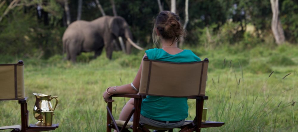 Elephant Pepper Camp, Masai Mara National Reserve, Kenya - Image 4