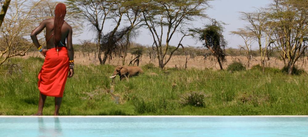 Pool and wildlife at Sirikoi, Lewa Conservancy, Kenya - Image 8