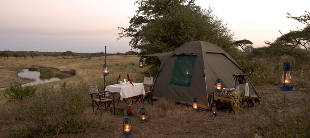 Fly camping- Olivers Camp, Tarangire National Park, Tanzania - Image 6