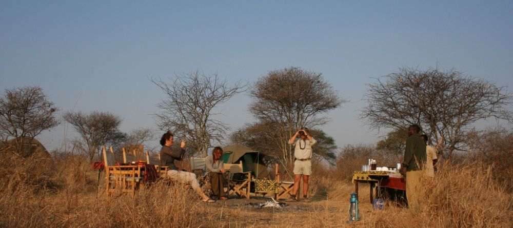 Fly camping- Olivers Camp, Tarangire National Park, Tanzania - Image 7