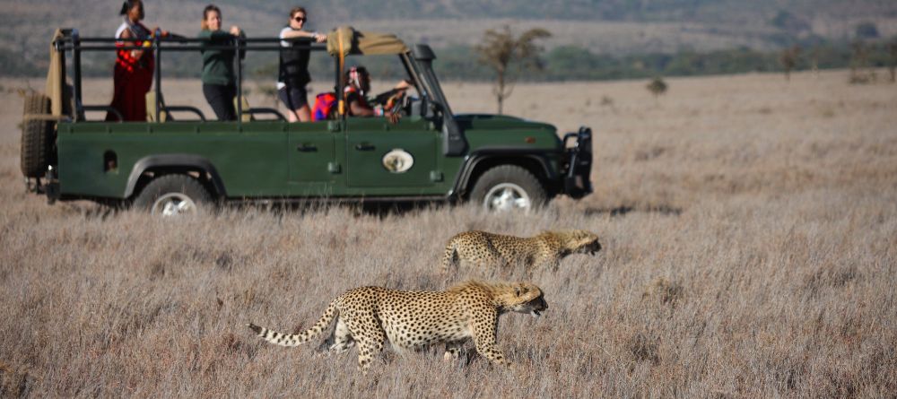 Game drive at Sirikoi, Lewa Conservancy, Kenya - Image 9