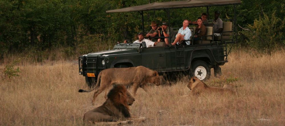 Camp Hwange - Game drive - Image 8