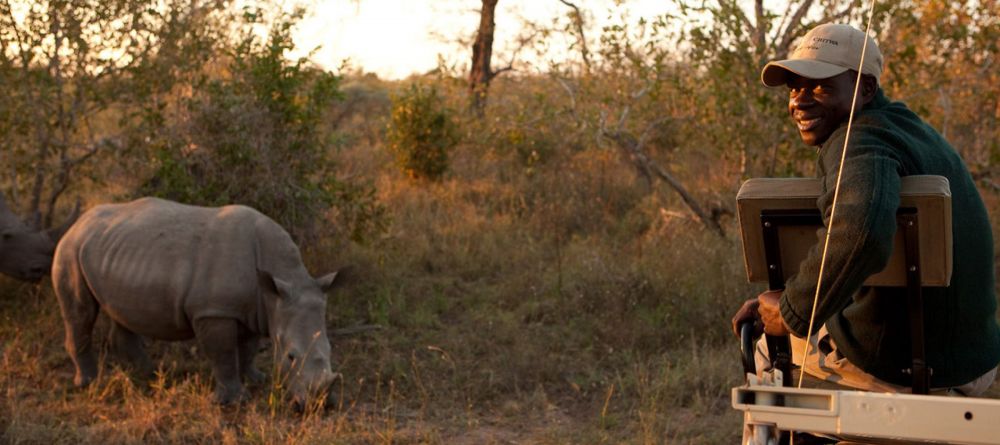 Game Drive Rhino - Image 9