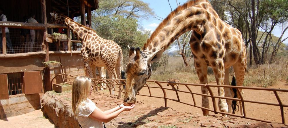 The Giraffe Center - Macushla House, Nairobi, Kenya - Image 5