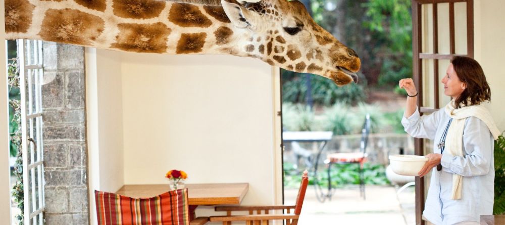 Giraffe Manor, Nairobi, Kenya - Image 10