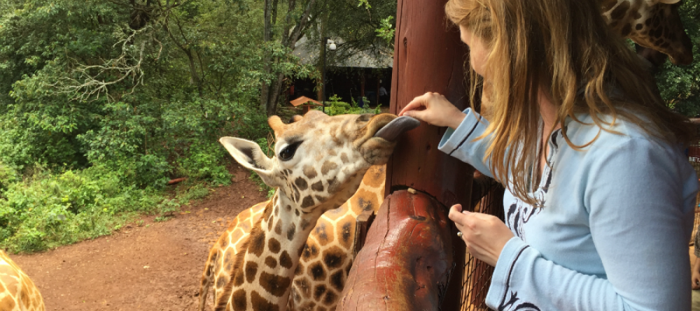 Giraffe Sanctuary  - Image 17