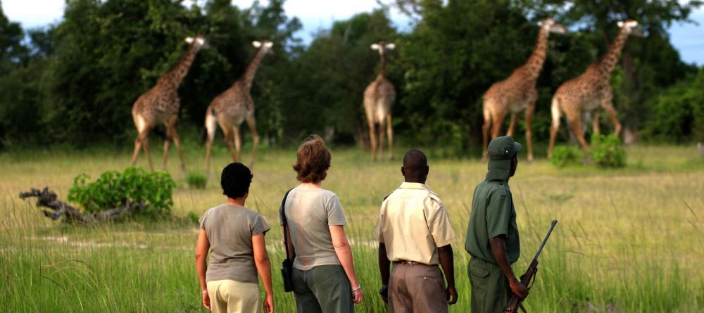 Zungulila Bushcamp, South Luangwa National Park, Zambia - Image 6