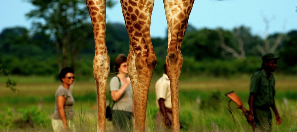 Zungulila Bushcamp, South Luangwa National Park, Zambia - Image 7