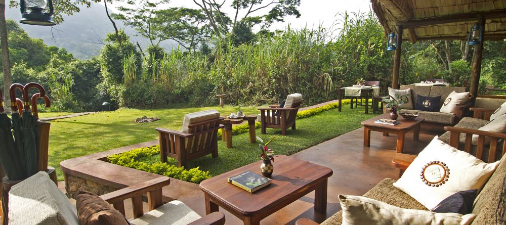 Gorilla Forest Camp, Bwindi Impenetrable Forest, Uganda - Image 3