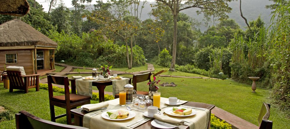 Gorilla Forest Camp, Bwindi Impenetrable Forest, Uganda - Image 6