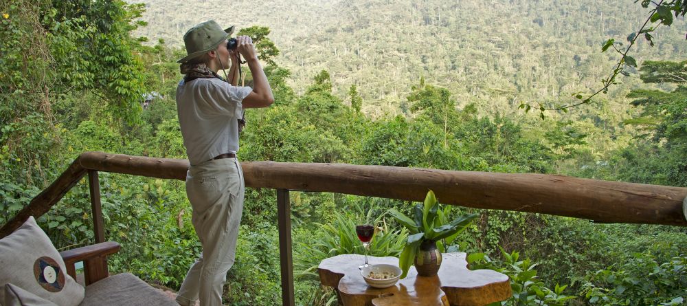 Gorilla Forest Camp, Bwindi Impenetrable Forest, Uganda - Image 7