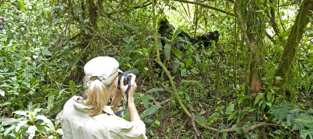 Gorilla Forest Camp, Bwindi Impenetrable Forest, Uganda - Image 10