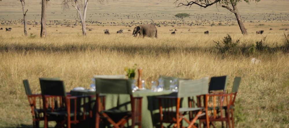 Governors Main Camp, Masai Mara National Reserve, Kenya - Image 3