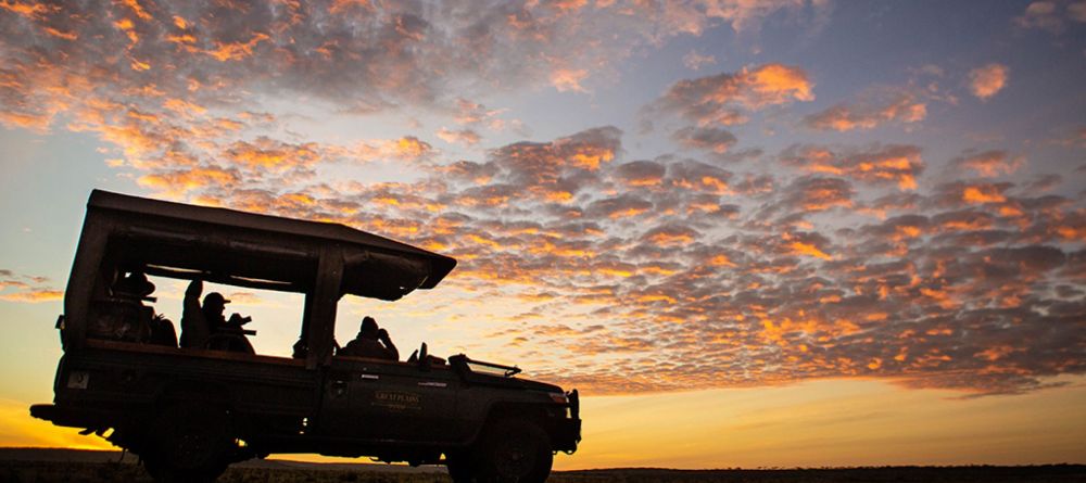 Sunset game drive - Image 16