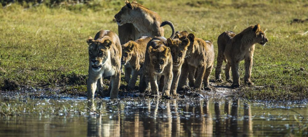 Where: Lewa Conservancy, KenyaSet in the rolling foothills of Mt Kenya, this conservancy is one of Africa’s most successful conservation stories with thriving populations of rhinos, innovative elephant monitoring programs, big cats,  and a collection of - Image 4