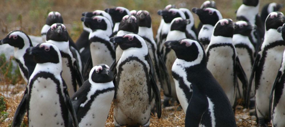 Grootbos Private Nature Reserve, Hermanus, South Africa - Image 15