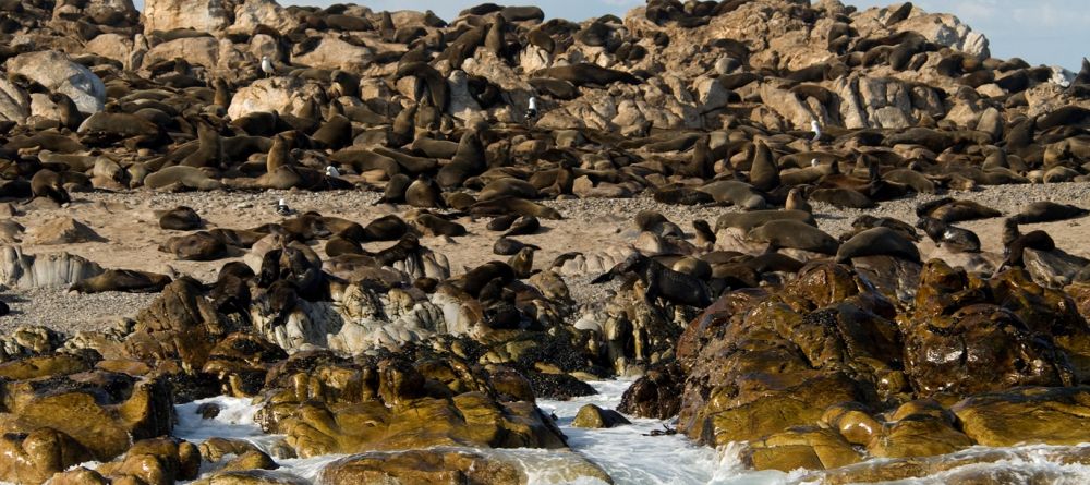 Grootbos Private Nature Reserve, Hermanus, South Africa - Image 17