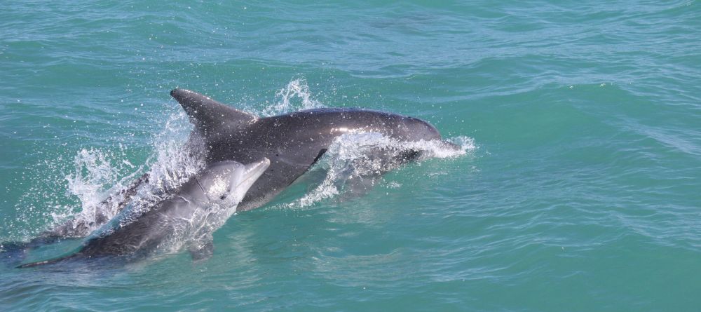 Grootbos Private Nature Reserve, Hermanus, South Africa - Image 19