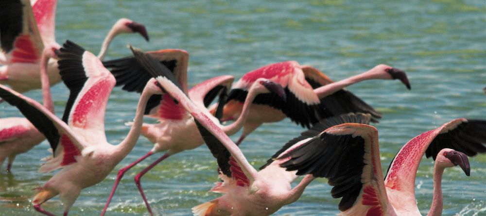 Hatari Lodge, Arusha National Park, Tanzania - Image 6