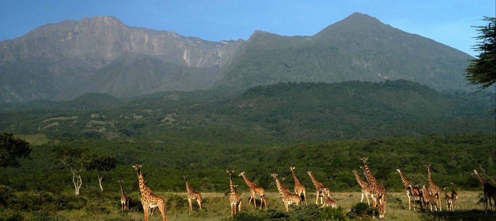 Hatari Lodge, Arusha National Park, Tanzania - Image 7