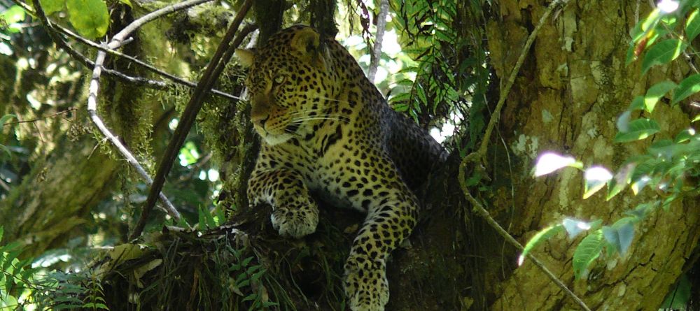 Hatari Lodge, Arusha National Park, Tanzania - Image 8