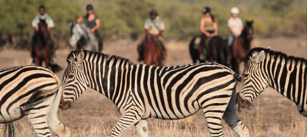 Mashatu Lodge, Mashatu Game Reserve, Botswana - Image 6