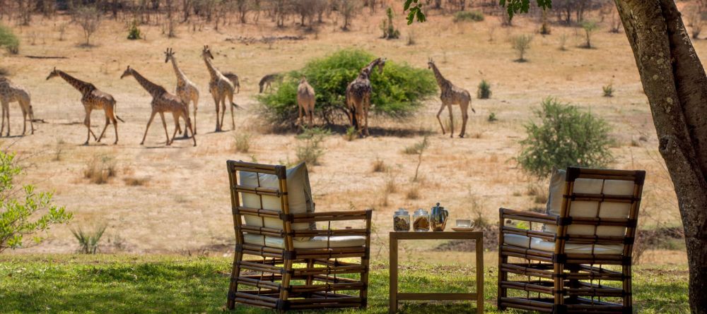 Stanley and Livingstone Hotel - Image 13