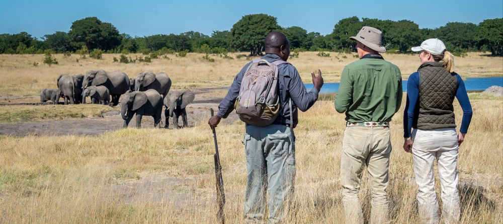 Little Makalolo, Hwange National Park, Zimbabwe - Image 13