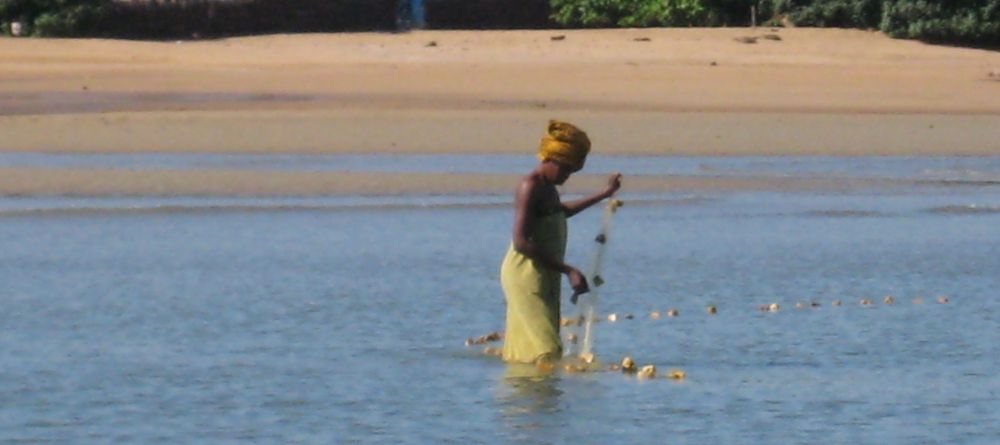 A local woman setting her fishing nets at Sakatia Lodge, Nosy Be, Madagascar (Mango Staff photo) - Image 1