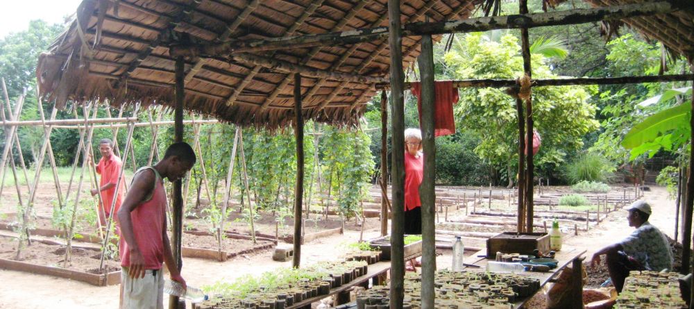 The produce garden used by the chefs at Sakatia Lodge, Nosy Be, Madagascar (Mango Staff photo) - Image 22