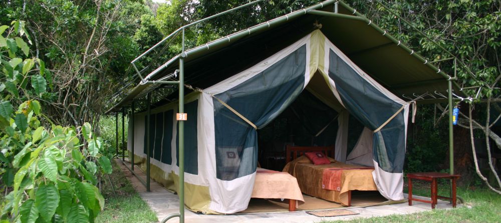 Family Tent - Image 9