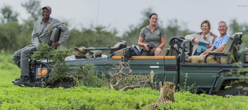 Impodimo Game Lodge - Image 8