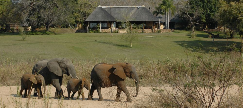 Inyati Safari Lodge, Sabi Sands Game Reserve, South Africa - Image 8