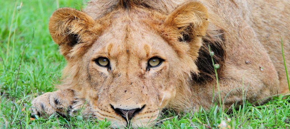 Jock Safari Lodge, Kruger National Park, South Africa - Image 1