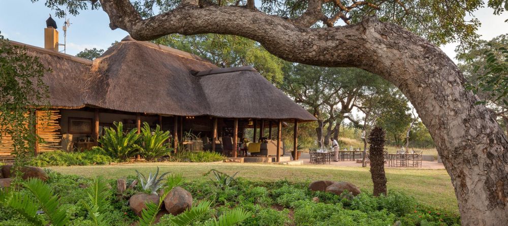 Thornybush Jackalberry Lodge - Image 7