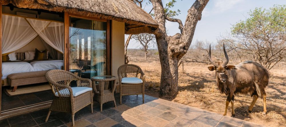 Thornybush Jackalberry Lodge - Image 3