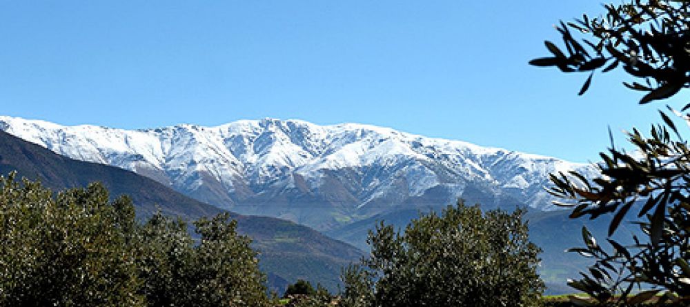 Marrakech Atlas Mtns - Image 4