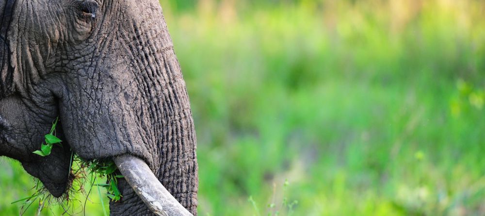 Jock Safari Lodge, Kruger National Park, South Africa - Image 7