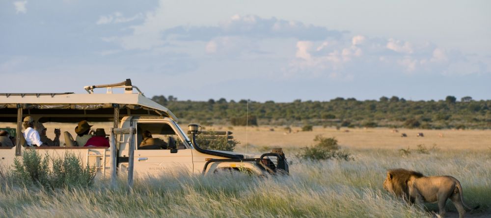 Kalahari Plains Camp, Central Kalahari Game Reserve, Bostwana - Image 11