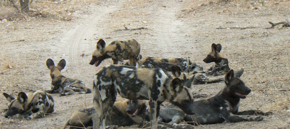 Kiba Point, Selous National Park, Tanzania - Image 9