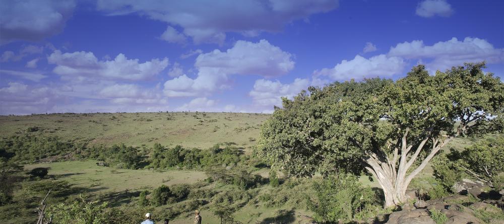 Kicheche Mara Camp, Masai Mara National Reserve, Kenya - Image 4