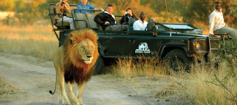 King's Camp, Timbavati Nature Reserve, South Africa - Image 8