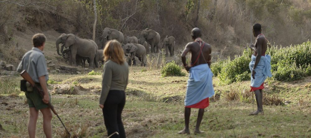 Kitich Camp, Mathews Range, Kenya - Image 7