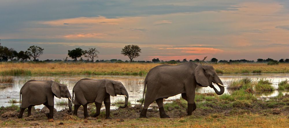 Lagoon Camp, Linyati Wetlands, Botswana - Image 8